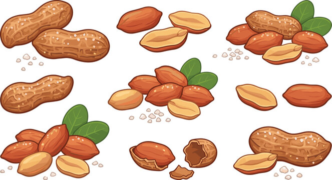 Peanut Vector Set with Whole Shelled Cracked and Peeled Groundnuts with Leaves Cartoon Illustration