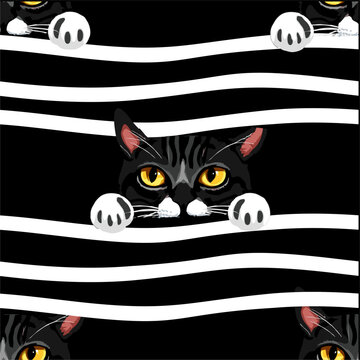 A striking, seamless repeating pattern featuring a curious black-and-white tuxedo cat peeking through flowing horizontal stripes. The design is rendered in a clean, high-contrast vector illustration.