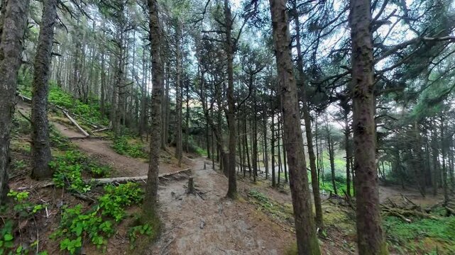 Hiking Downhill on the Hobbit Trail Along the Oregon Coast