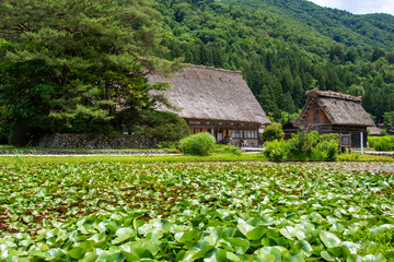 世界遺産　白川郷合掌造り集落　初夏 © Hiro074