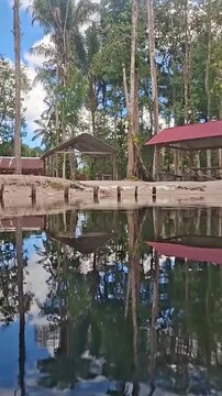 Vertical Video, First Person View Swimming in South-American Creek with Camps on The Side