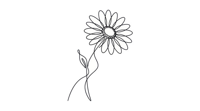 Minimalist Daisy Flower Line Art Drawing, Single Continuous Line Illustration