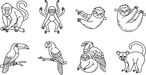 Jungle Animals Coloring Page Line Art Set with Monkey Sloth Toucan Parrot Eagle and Lemur Outline Icons for Kids and Books © MdMustak