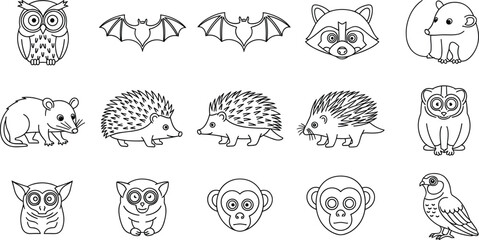 Nocturnal Animals Coloring Page Line Art Set with Owl Bat Raccoon Opossum Hedgehog Tarsier Lemur Monkey and Parrot Outline Icons © MdMustak