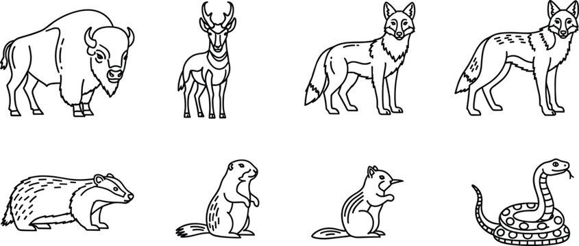 Prairie Animals Coloring Page Line Art Set with Bison Pronghorn Wolf Badger Prairie Dog Chipmunk and Rattlesnake Outline Icons Collection