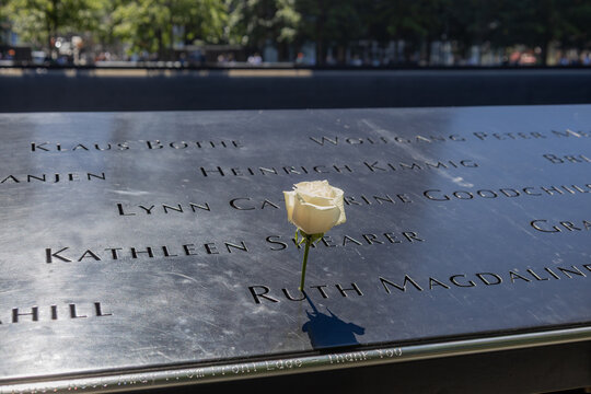 View of 9/11 victims' names and a birthday rose on the North Memorial Pool, at the National September 11 Memorial and Museum, with view of victims&rsquo; names, on June 4, 2026 in New York City, New