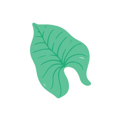 Green tropical leaf illustration © Wayan