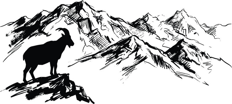 Hand-drawn illustration of an ibex standing on a mountain peak against a dramatic range