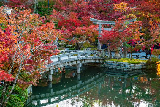 autumn foliage at Eikando Zenrinji Temple in Kyoto, Kansai, Japan