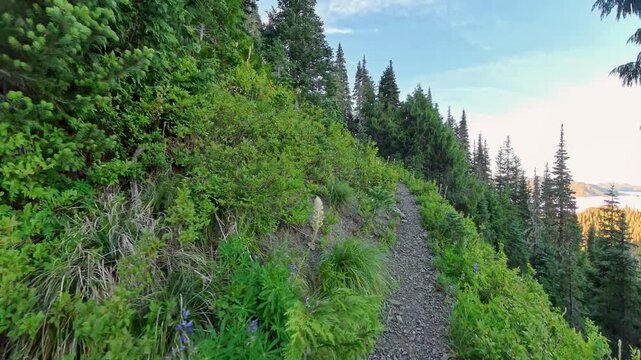 Hiking Uphill from Hoh Lake with Cloud Inversion in Washington National Park