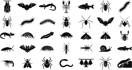 Collection of cave animals and insect silhouettes © Monochrome studio