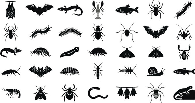 Collection of cave animals and insect silhouettes