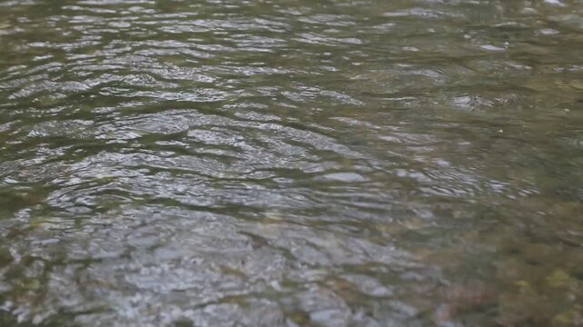 Close-up of clear fresh water ripples and waves flowing rapidly in a shallow river stream. Abstract natural water texture.