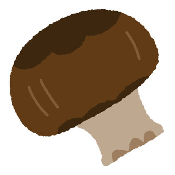 Baby bella cremini mushroom single illustration, agaricus bisporus fungi clipart