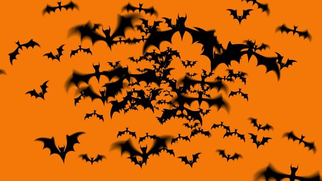 Scary flock of flying bats with motion graphics, halloween transition. bat animation