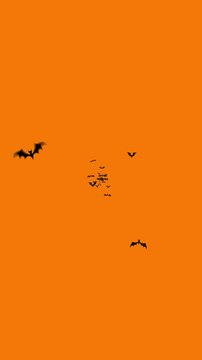 Flock of flying bats in vertical format for social media, halloween transition, animation fly bat.