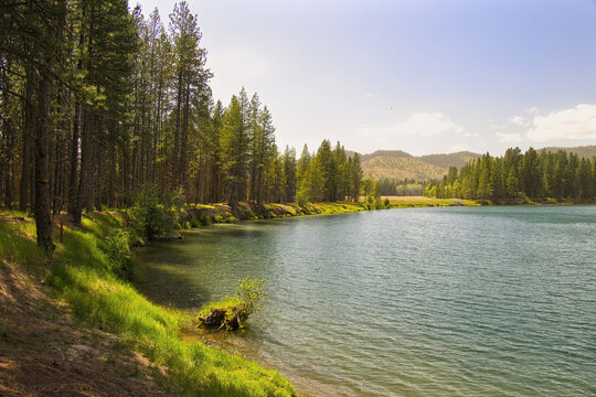Sunny summer day view of a peaceful lakeshore with bright vegetation and surrounding trees along Lake Coeur d&rsquo;Alene near Harrison, Idaho.