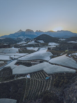 Aerial view of agricultural greenhouses covered with white plastic sheeting nestled in the mountainous landscape of Callosa d'en Sarria, Valencian Community, Spain.