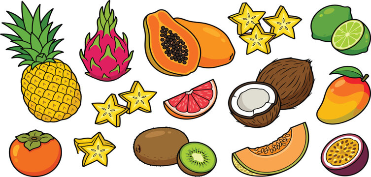 Tropical fruit vector vector collection featuring pineapple dragonfruit papaya coconut carambola mango lime kiwi isolated on white background