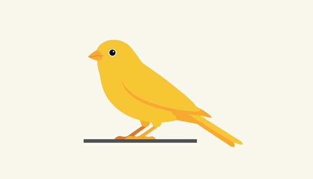 Clean vector illustration of a sweet little yellow canary bird perched on a branch over a plain background.