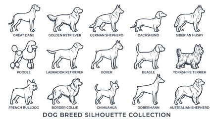 Popular domestic dog breed outlines with labels © Crit