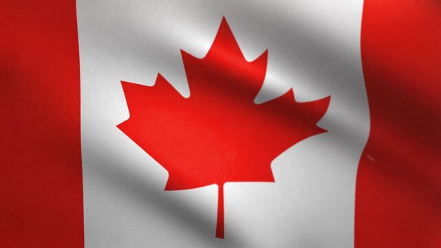 Canada Flag Waving Seamless Loop
