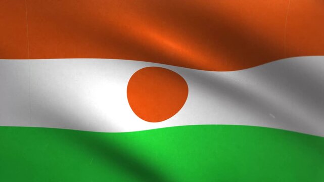 Niger Flag Waving Seamless Loop