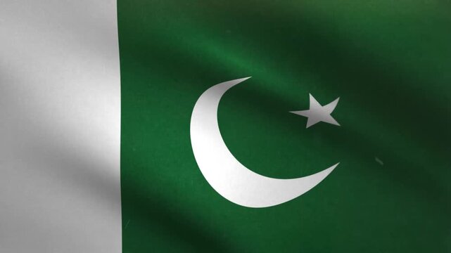 Pakistan Flag Waving Seamless Loop