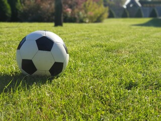 Fototapeta premium Classic soccer ball on playful outdoor bright green sunlit textured natural grass for summer sports and recreation.