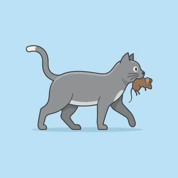 A gray cat walks while carrying a small brown mouse