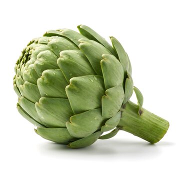 Fresh whole artichoke with stem isolated on white background close up