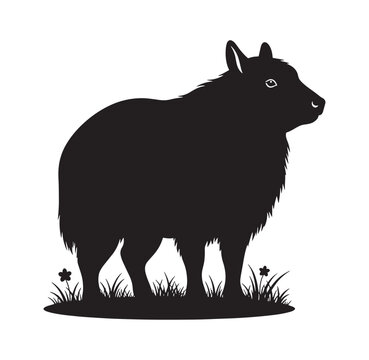 Black silhouette of a standing sheep in grass with silhouette livestock agriculture isolated domestic farmyard ruminant standing creature countryside barnyard pastoral