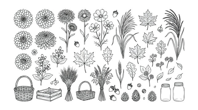 Mystical celestial vector icon set, hand-drawn astrology and zodiac symbols, magical nature elements, esoteric spiritual illustrations for witchcraft and divination designs