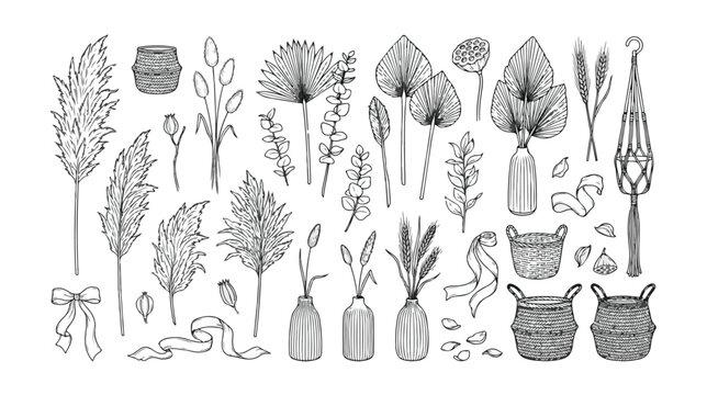 Boho Chic Dried Floral Vector Set, Hand-Drawn Botanical Elements, Pampas Grass, Palm Leaves, and Woven Baskets for Bohemian Decor and Wedding Invitations