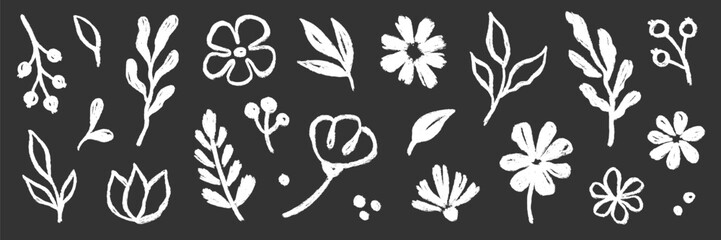 Obraz premium Brush flower leaf paint set. Hand drawn brush flower leaf floral stroke sketch plant doodle nature. Chalkboard blackboard botanical daisy poppy leaves herb summer background. Vector illustration