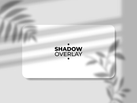 Blank Rounded Business Card Mockup with Window Blinds and Tropical Leaf Shadow Overlay Effect