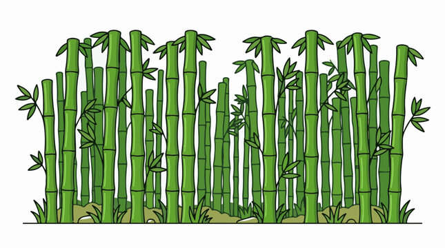 A cartoon illustration of a dense bamboo forest