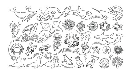 Oceanic wildlife vector collection, marine animals and sea creatures line art, underwater ecosystem elements, aquatic life illustrations for educational and design projects. © Logan