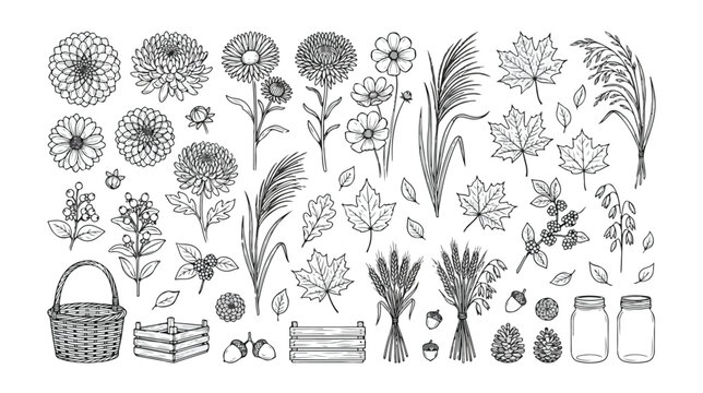 Autumn harvest vector collection, hand-drawn fall flowers and leaves, botanical elements for Thanksgiving and seasonal designs, rustic floral and natural illustrations
