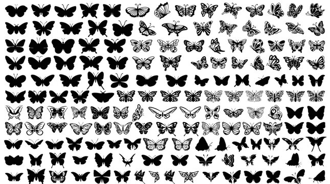 Butterfly silhouette collection with diverse wing shapes, black and white vector set for biology, taxonomy, decorative illustration design