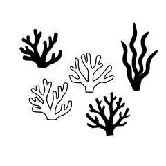 Fototapeta premium サンゴと海藻のモノクロイラスト 