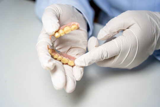 Dentist holding removable partial denture for demonstration