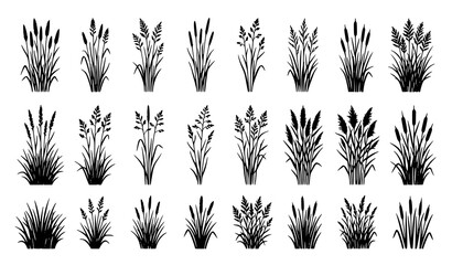 Grass silhouette set wild meadow and field vegetation isolated vector collection eps10 © MST