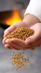 Obraz premium Chef holding toasted fenugreek seeds with fire in background