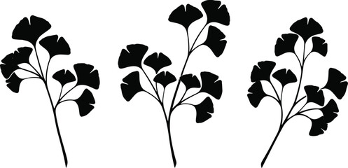 Ginkgo biloba branch with leaves silhouette vector design © estia