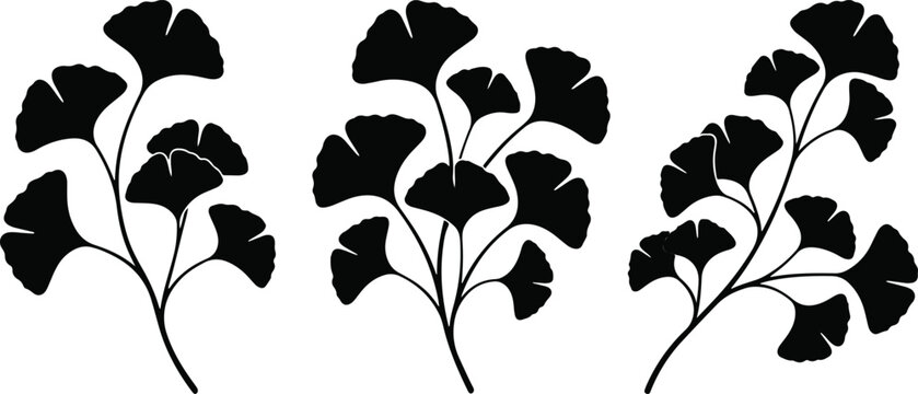 Minimalist ginkgo biloba plant silhouette vector illustration