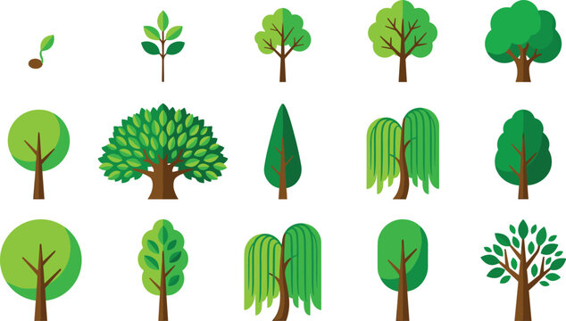 Tree Plant Growth Vector Illustration Featuring Seed, Sprout, Bush, Conifer, Willow, Round Canopy, and Mature Trees
