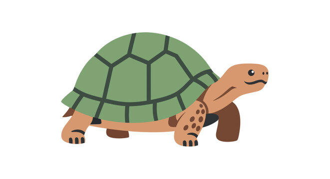Turtle Walking on Land Slowly Forward.