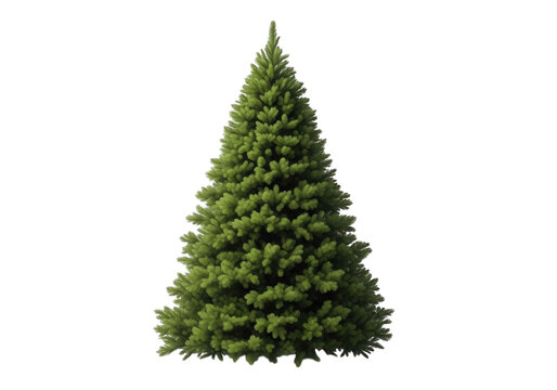 Realistic evergreen tree isolated on black background detailed fir tree silhouette for seasonal designs