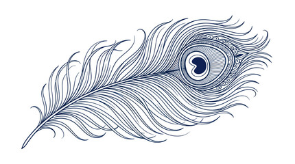 Elegant peacock feather line art with intricate eye detail © Emilo